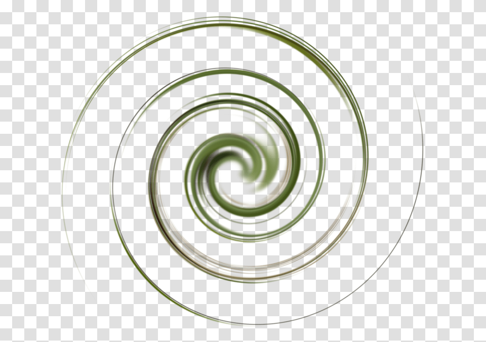 Spiral, Coil Transparent Png