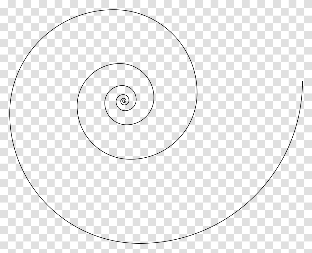 Spiral, Gray, World Of Warcraft Transparent Png