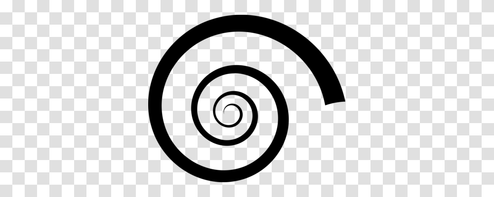 Spiral Nautiluses Drawing Seashell Shape, Gray, World Of Warcraft Transparent Png