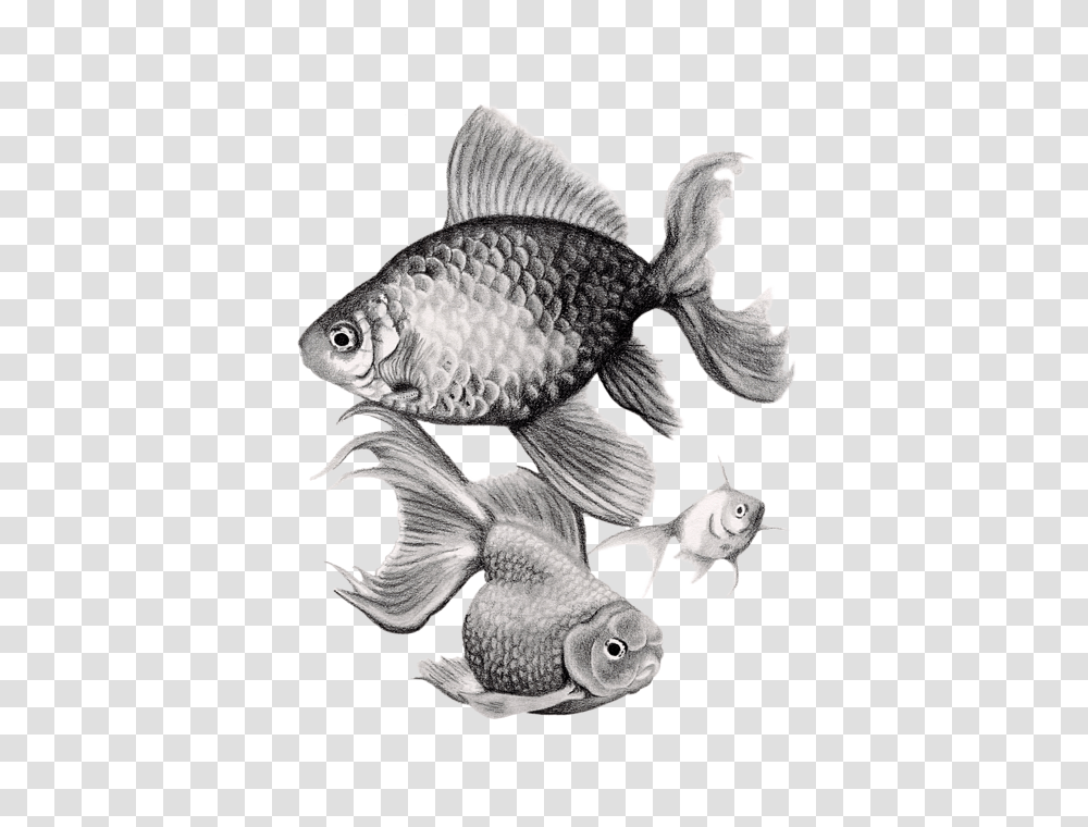 Spiral Notebook For Library Realistic Gold Fish Drawing, Animal, Aquatic, Water, Goldfish Transparent Png