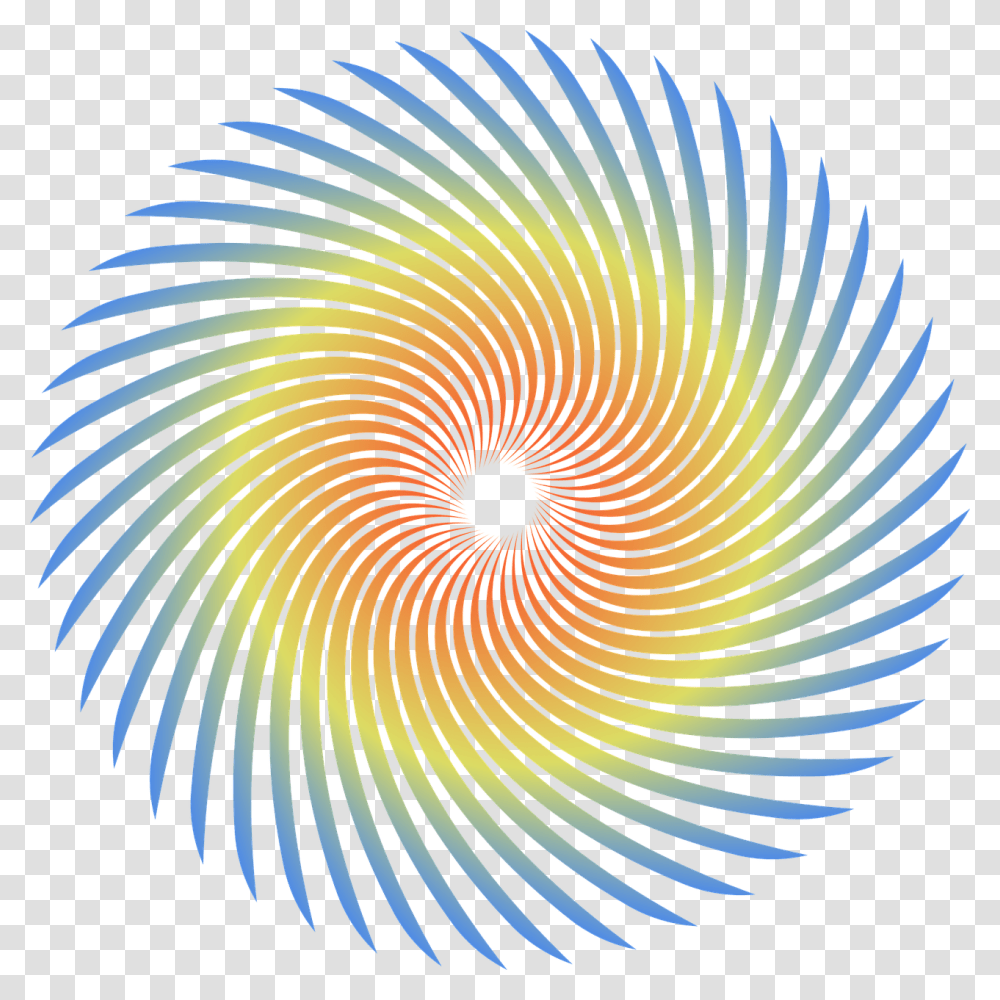 Spiral, Ornament, Pattern, Fractal, Rug Transparent Png