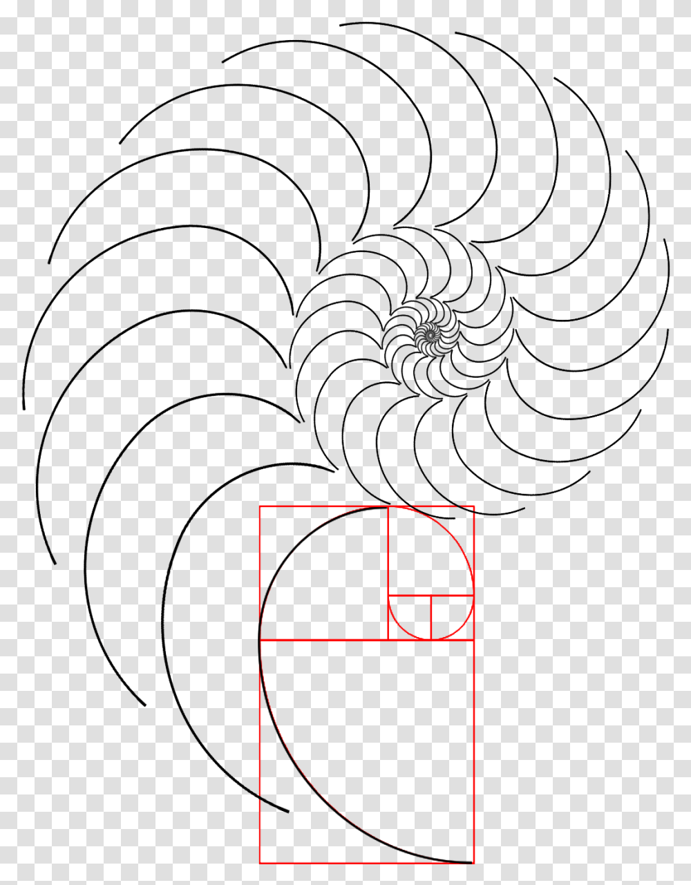 Spiral, Plot, Diagram, Plan Transparent Png