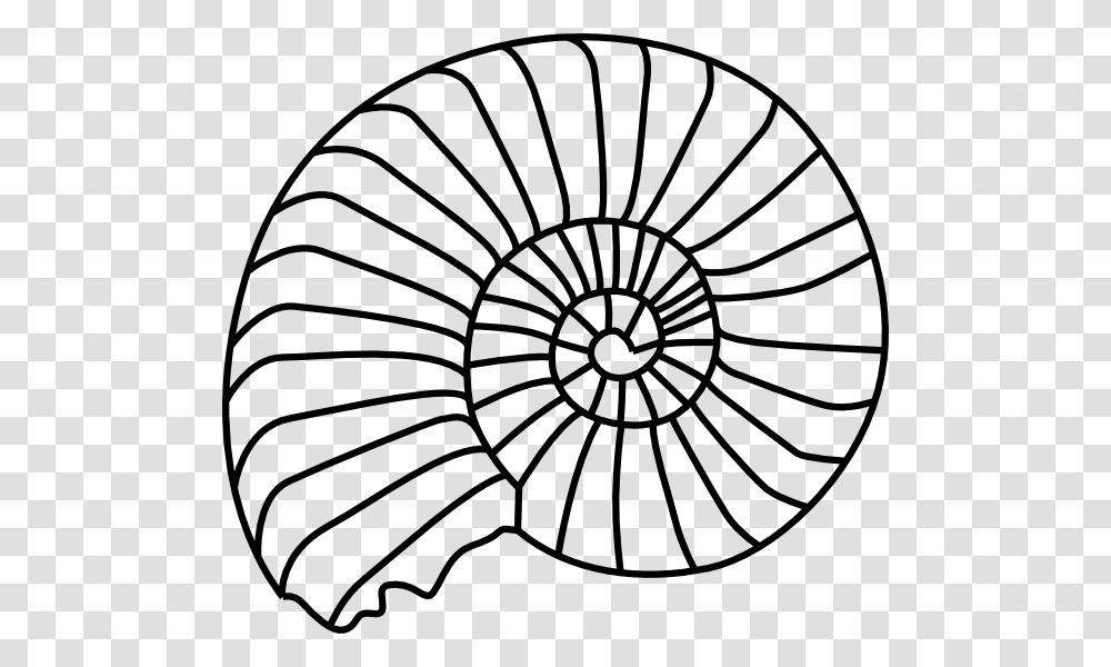 Spiral Shell Clip Art, Sweets, Food, Confectionery, Coil Transparent Png