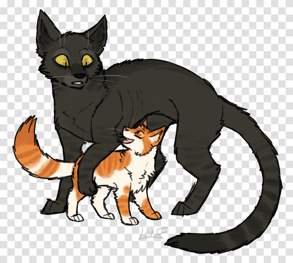 Spire Warrior Cats, Pet, Mammal, Animal, Black Cat Transparent Png