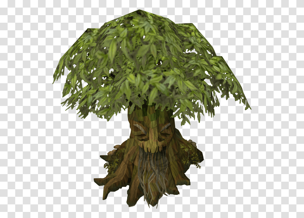 Spirit Tree The Runescape Wiki Rs3 Spirit Tree, Plant, Vegetation, Root, Conifer Transparent Png