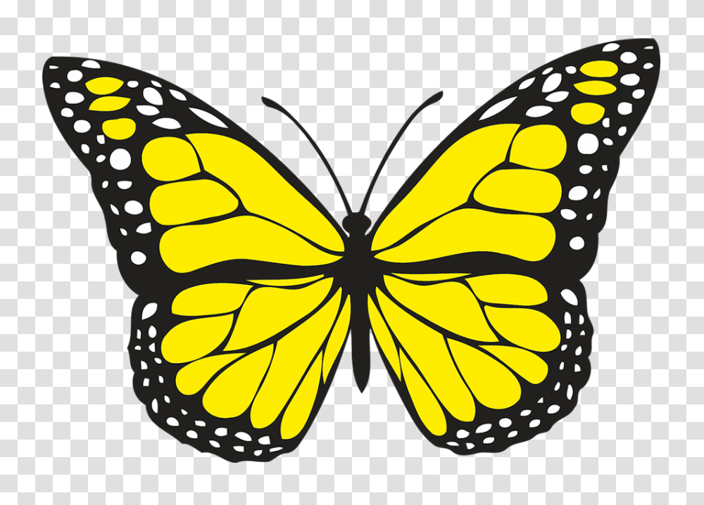 Spiritual Meaning Of Yellow Butterflies Hope And Guidance Good, Butterfly, Insect, Invertebrate, Animal Transparent Png