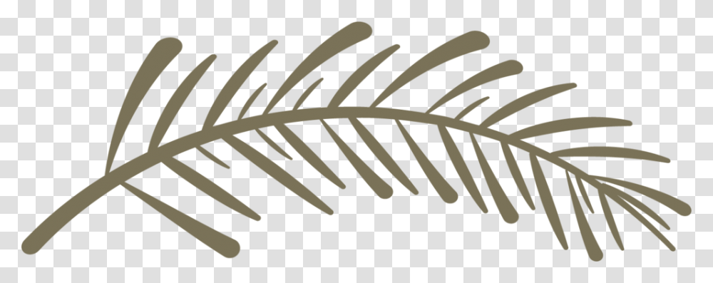 Spiritwood Pinebranch Twig, Plant, Leaf, Fern, Flower Transparent Png