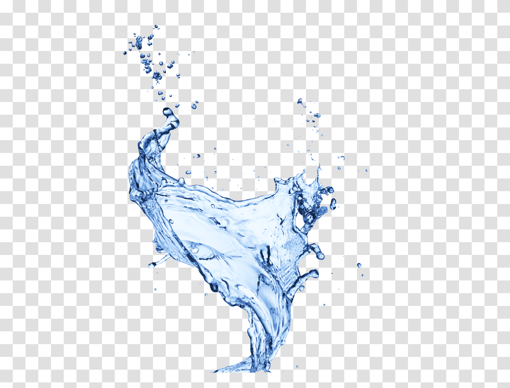 Splash Water, Droplet, Chicken, Poultry, Fowl Transparent Png