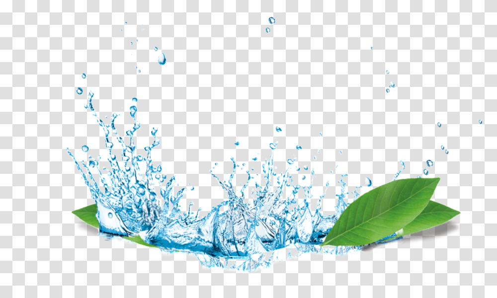 Splash Water Flower Material Splash Water Hd, Outdoors, Nature, Ice, Plant Transparent Png