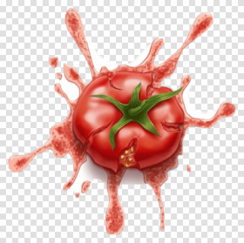 Splat The Tomatoe Tomato Splat, Person, Human, Food, Text Transparent Png