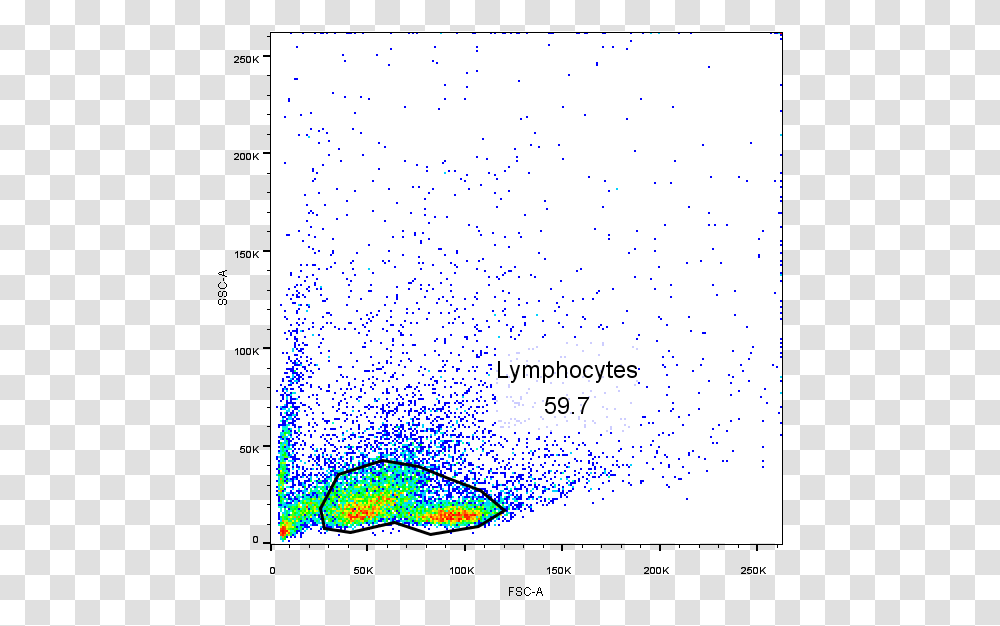 Spleen Lymphocytes Flow Cytometry, Drawing Transparent Png