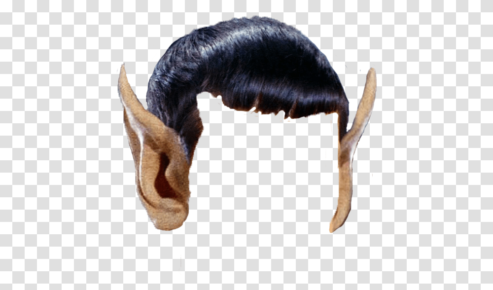 Spock Hair, Animal, Bird, Invertebrate, Cushion Transparent Png