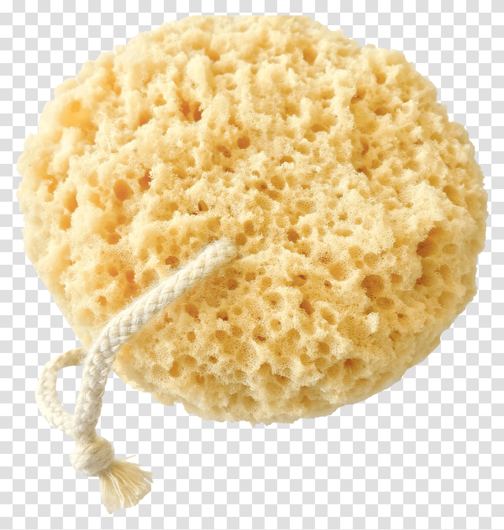 Sponge Bath Cookie Transparent Png