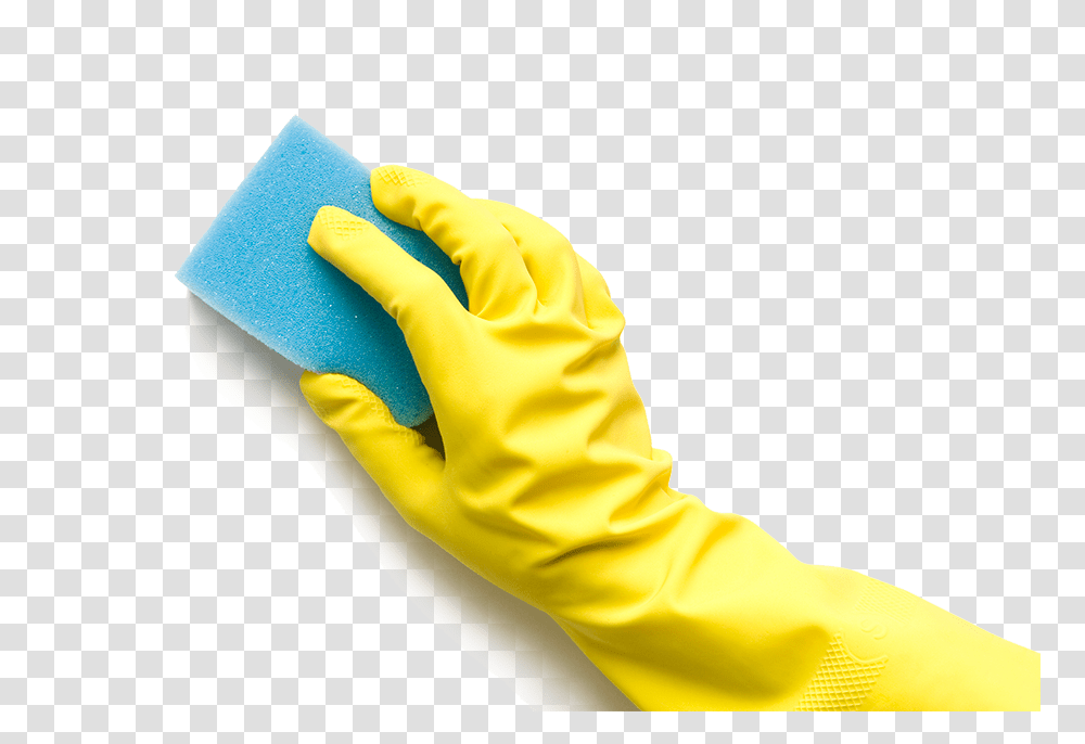 Sponge, Tableware, Person, Human Transparent Png