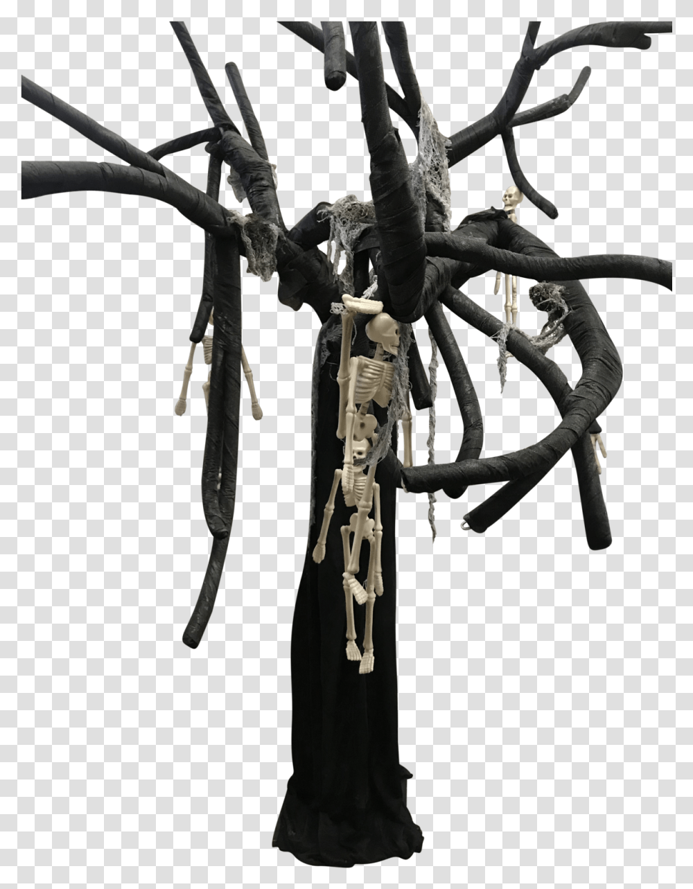 Spooky Black Tree Tarantula, Outdoors, Nature, Ice, Cross Transparent Png