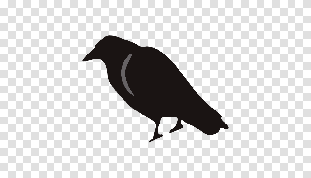 Spooky Crow Cartoon, Bird, Animal, Blackbird, Agelaius Transparent Png
