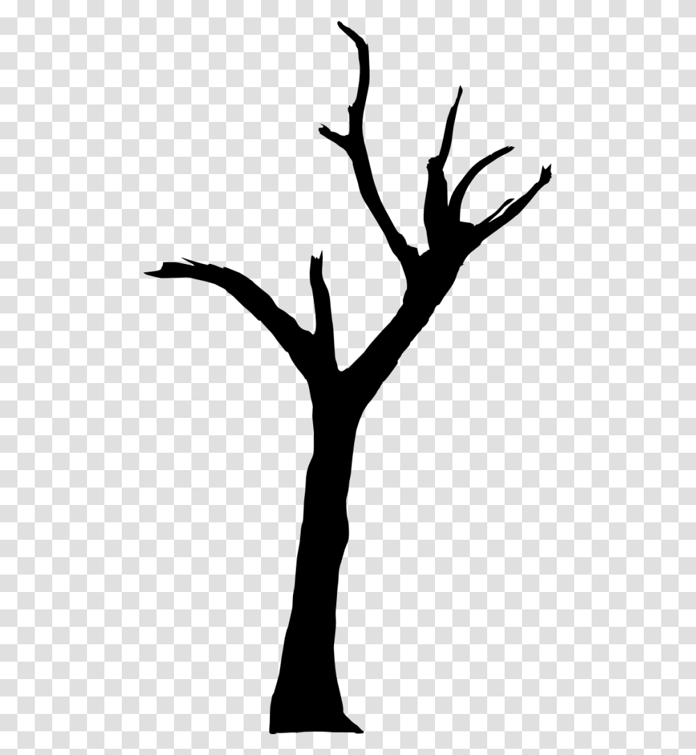 Spooky Dead Tree Silhouette Vol Deadvlei, Gray, World Of Warcraft Transparent Png