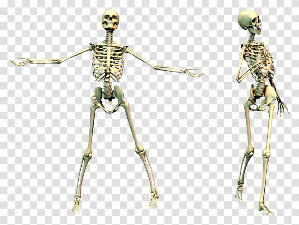 Spooky Skeleton, Bow, Person, Human Transparent Png