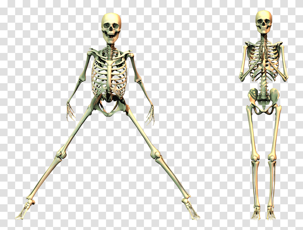 Spooky Skeleton Clipart Spooky Skeleton, Bow, Person, Human Transparent Png