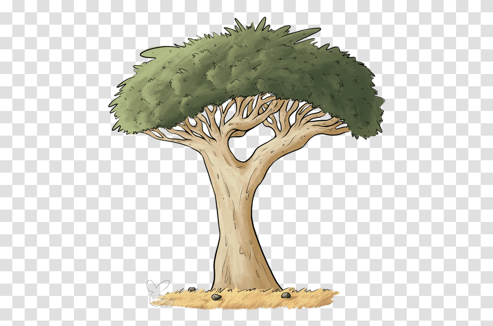 Spooky Tree Clipart Dragon Blood Tree Drawing, Plant, Vegetation, Wood, Tree Trunk Transparent Png