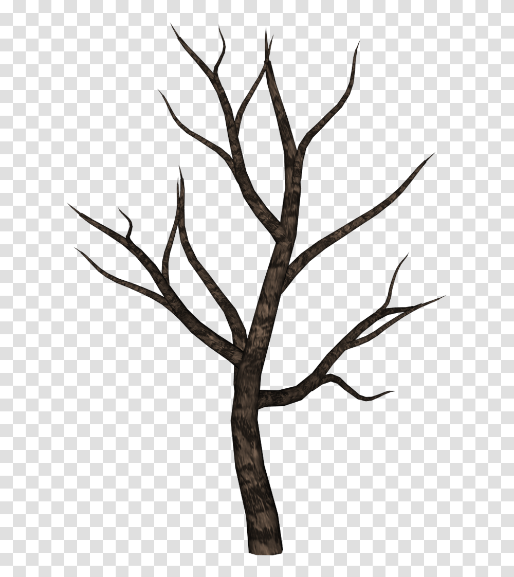 Spooky Tree Clipart Group With Items, Antler, Plant Transparent Png