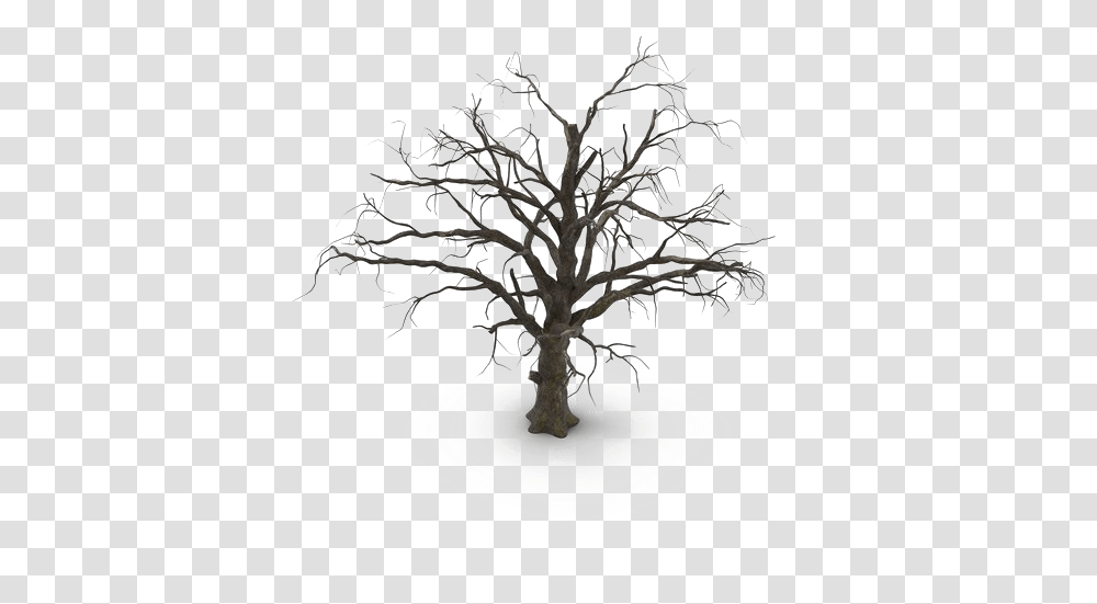 Spooky Tree Hd Old Dead Tree, Plant, Pine, Chandelier, Lamp Transparent Png