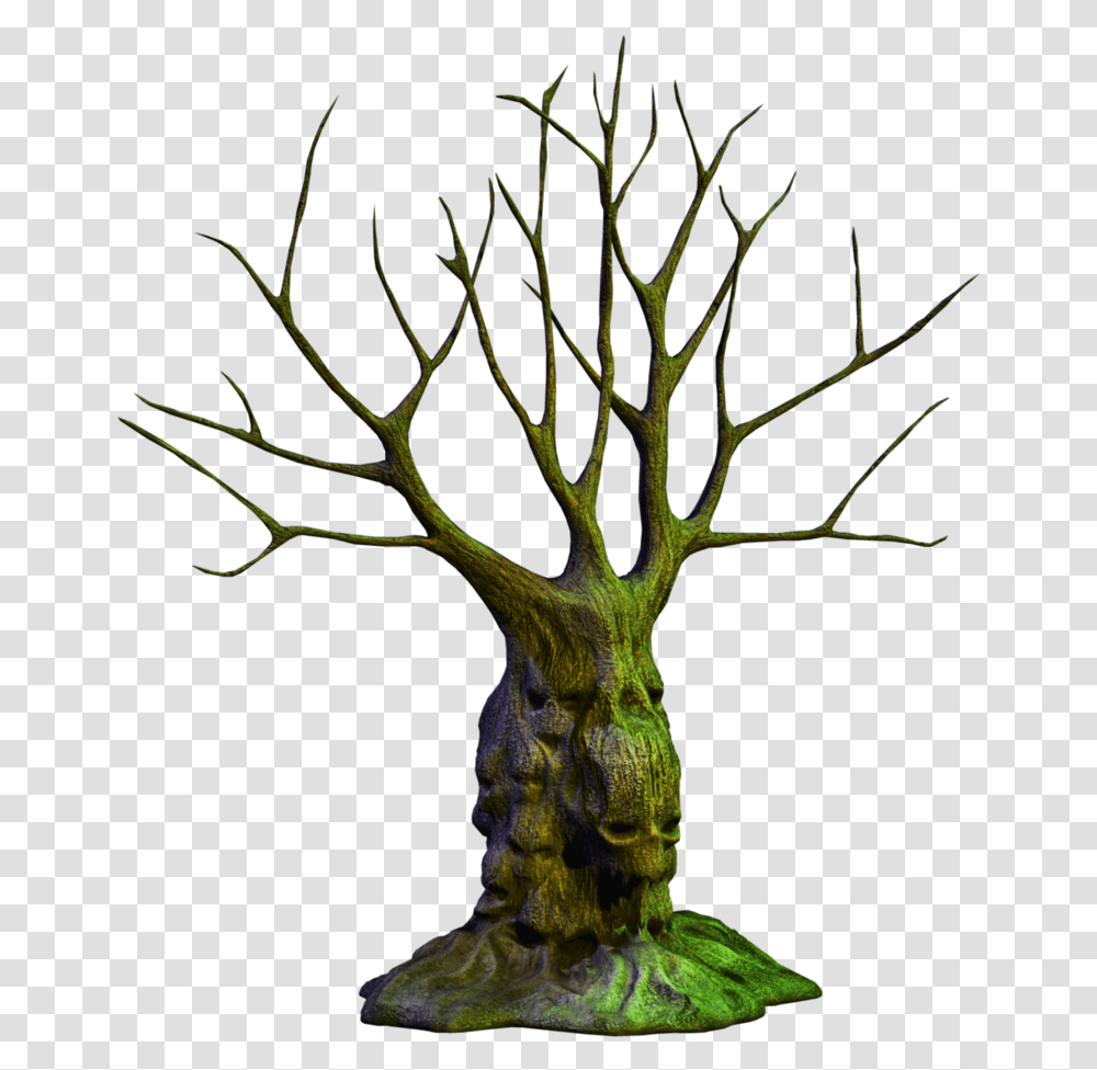 Spooky Tree Image Spooky Trees, Plant, Nature, Outdoors, Vegetation Transparent Png