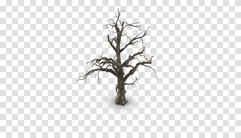 Spooky Tree Pic Mart Portable Network Graphics, Plant, Root, Cross, Symbol Transparent Png