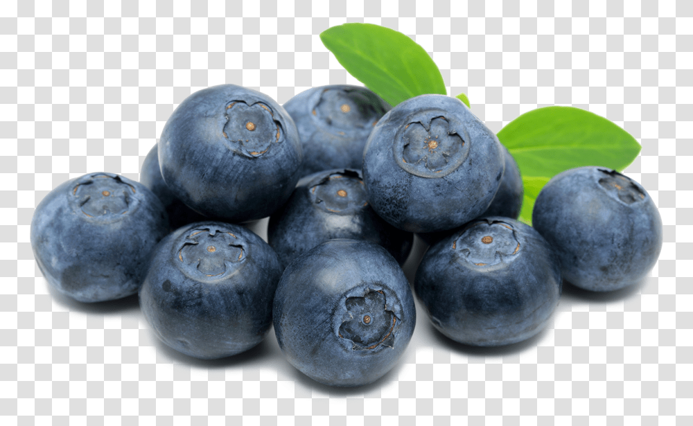 Spooner Farms Inc Blueberries Clip Art, Blueberry, Fruit, Plant, Food Transparent Png