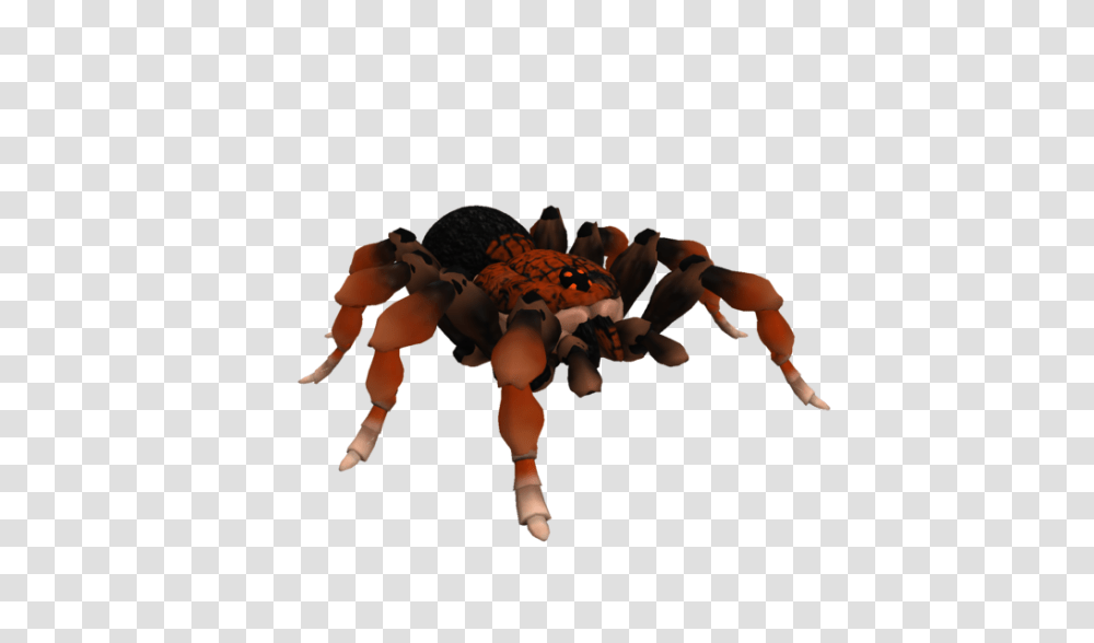 Spore Creature Rust Leg Tarantula, Invertebrate, Animal, Person, Human Transparent Png