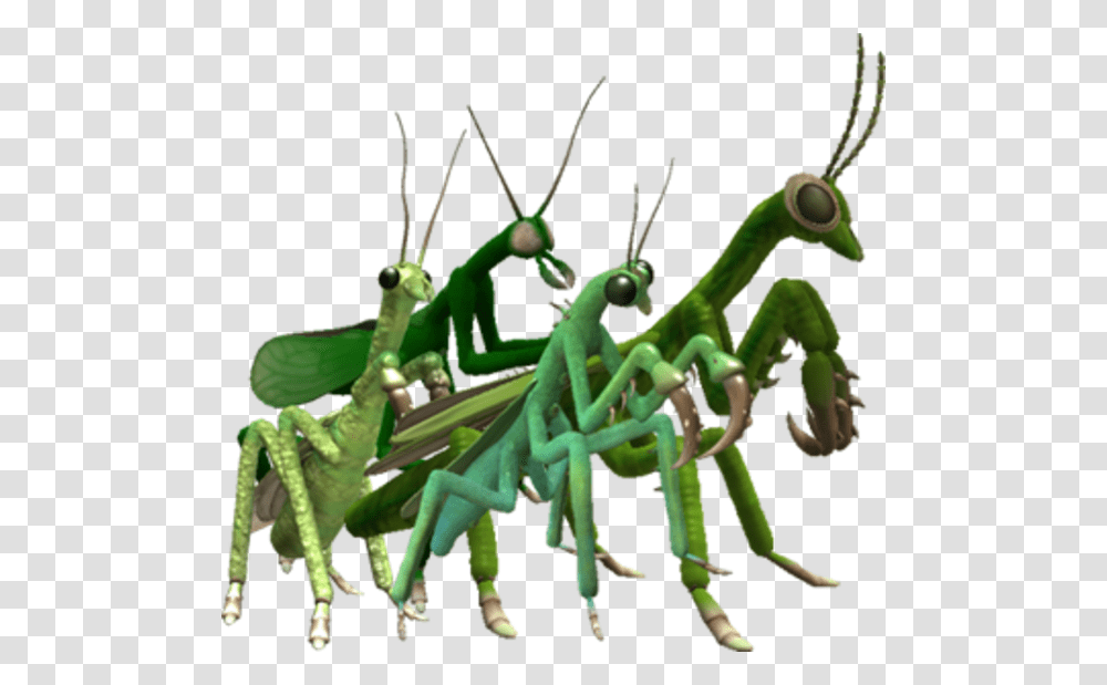 Spore Mantis Spore Know Your Meme, Insect, Invertebrate, Animal, Cricket Insect Transparent Png