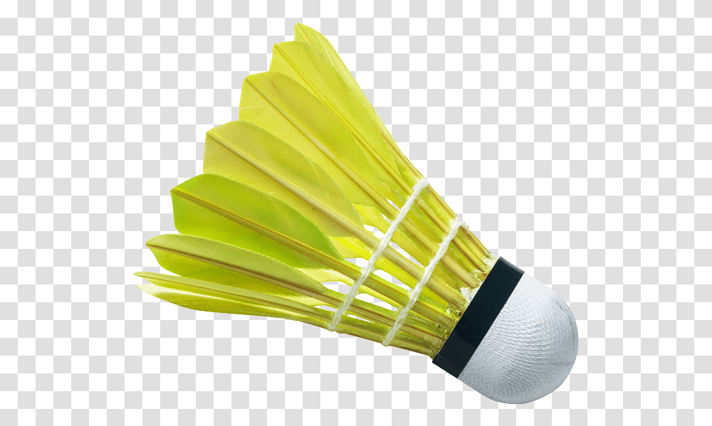Sport, Badminton, Sports, Brush Transparent Png