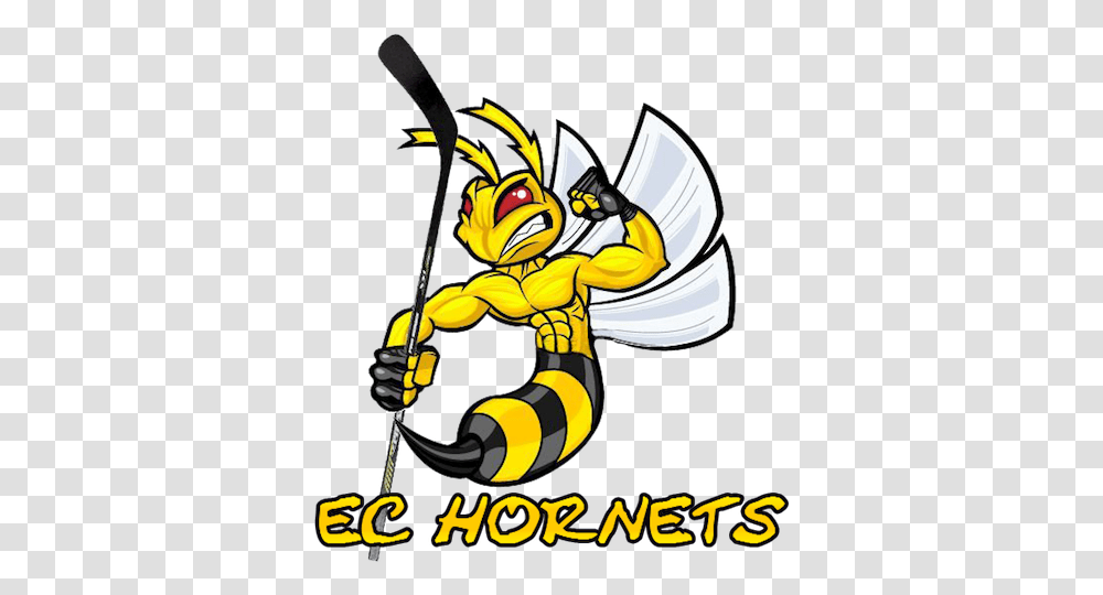 Sport Logos Logos, Wasp, Bee, Insect, Invertebrate Transparent Png