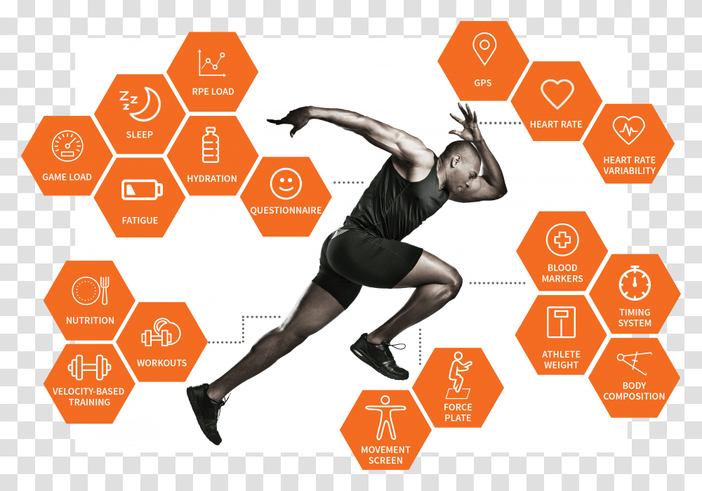 Sports Science, Person, Working Out, Fitness, Poster Transparent Png