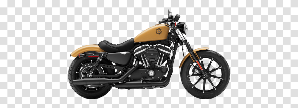Sportster Harley Davidson 883 Iron 2019, Motorcycle, Vehicle, Transportation, Machine Transparent Png