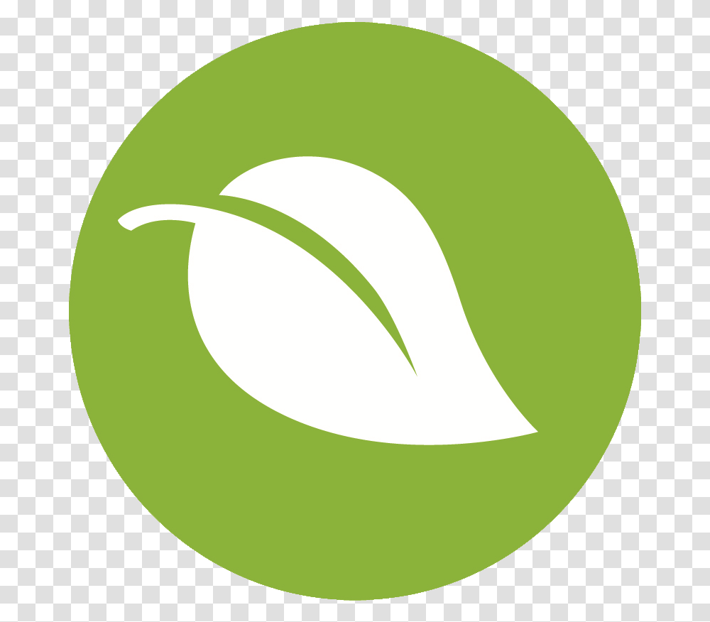 Spotify Logo Small Email Logo Green, Tennis Ball, Plant, Food, Sphere Transparent Png