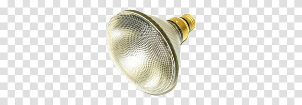 Spotlight Bulbs Outdoor Ned Stevens Bulb Spotlight, Lighting, LED, Rug, Lightbulb Transparent Png
