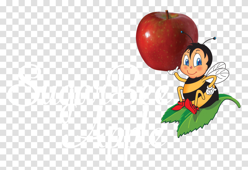 Spotlight Clipart, Plant, Fruit, Food, Apple Transparent Png