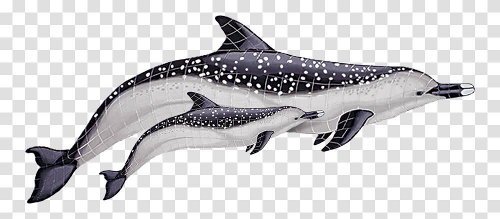 Spotted Dolphin With Baby Copy Spotted Dolphin, Sea Life, Animal, Mammal, Whale Transparent Png