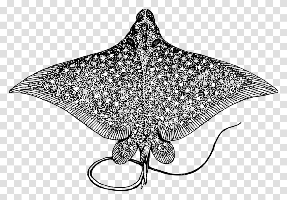 Spotted Eagle Ray Giant Spotted Eagle Ray, Gray, World Of Warcraft Transparent Png