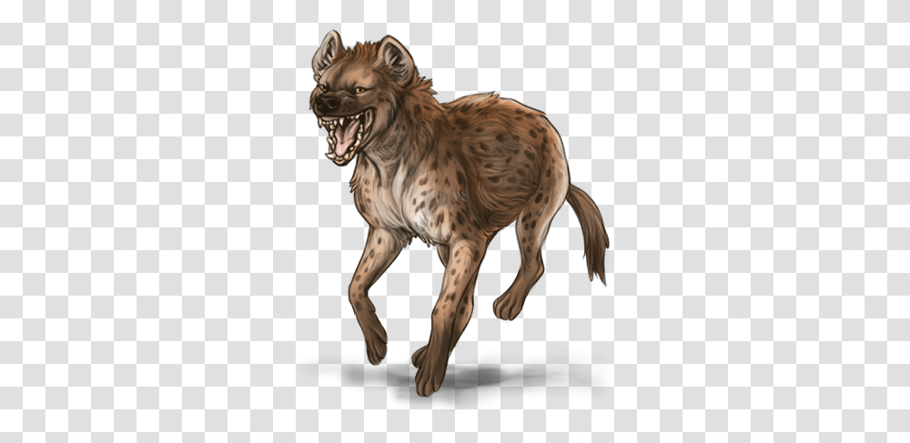 Spotted Hyena, Animal, Wildlife, Mammal, Tiger Transparent Png