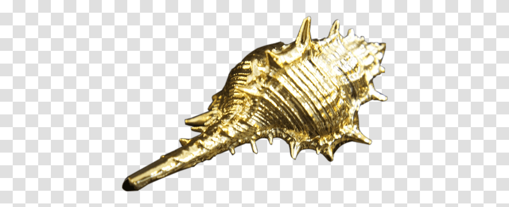 Spray Gold Chrome Effect Paint Gold Sea Shell, Conch, Seashell, Invertebrate, Sea Life Transparent Png