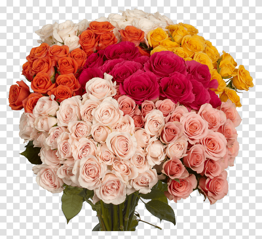 Spray Rose Bouquet Spray Roses, Plant, Flower, Blossom, Flower Bouquet Transparent Png