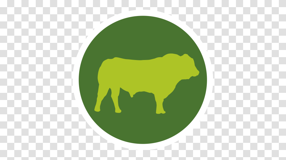 Spread A Bale, Bull, Mammal, Animal, Cattle Transparent Png