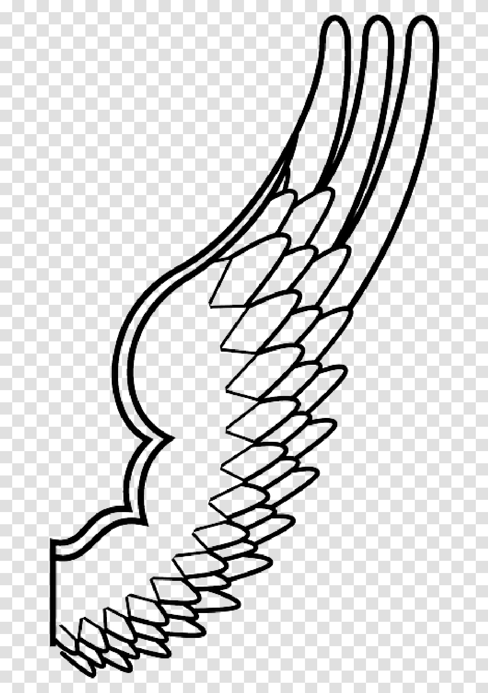 Spread Drawing Design Angel Wing Feathers Wing Outline, Stencil Transparent Png