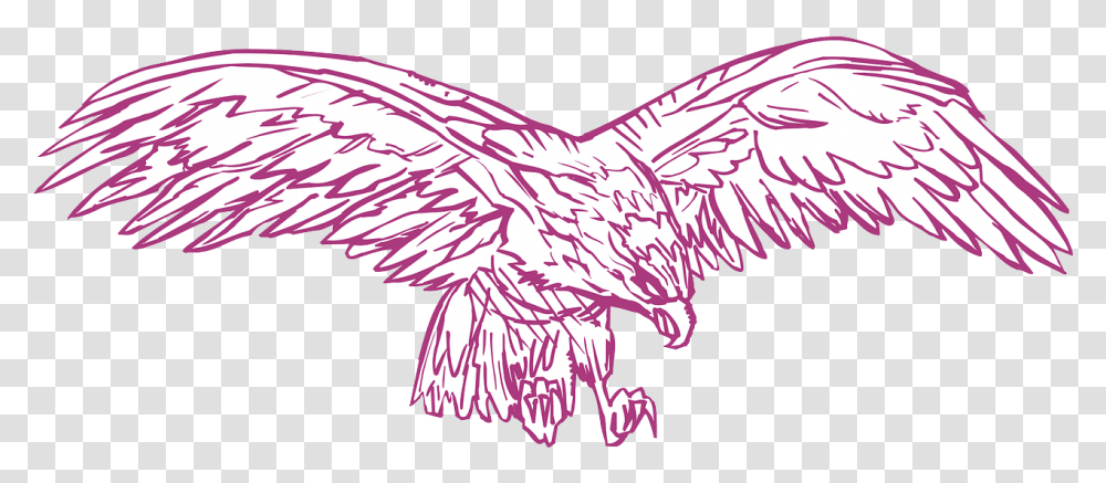 Spread Eagle Bird Wings Hunting Birds, Animal, Flying, Kite Bird, Vulture Transparent Png