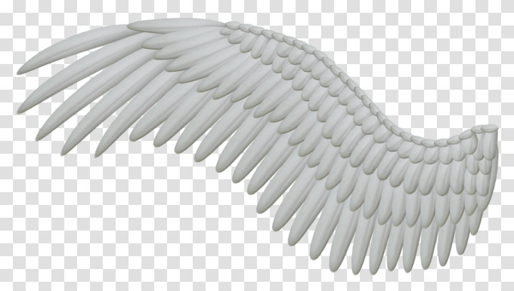 Spread White Wings By Thy Darkest Hour, Religion, Bird, Animal Transparent Png