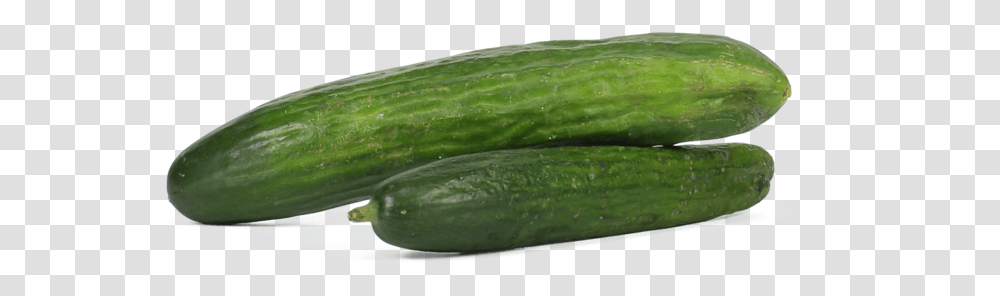 Spreewald Gherkins, Plant, Cucumber, Vegetable, Food Transparent Png