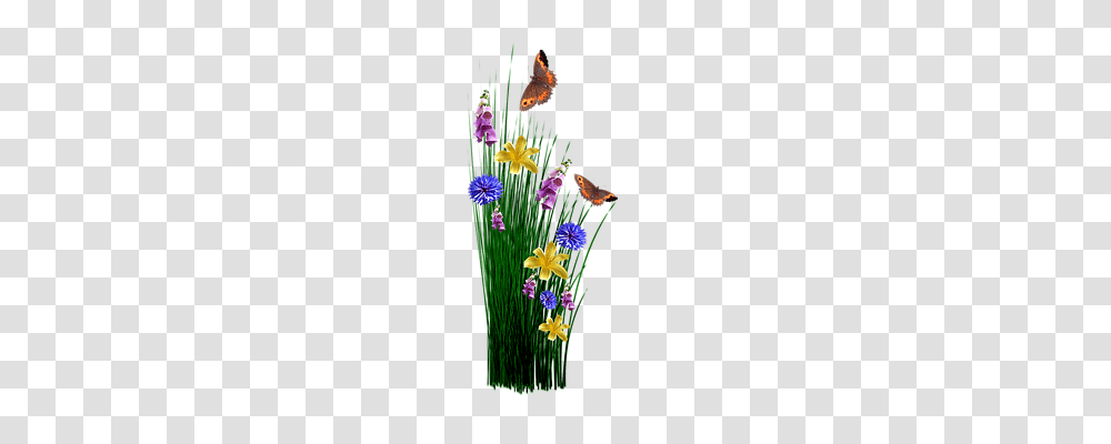 Spring Nature, Plant, Iris, Flower Transparent Png