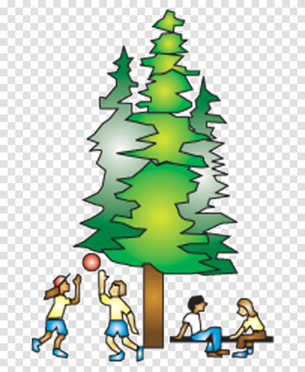 Spring 2015 Camping Uccr, Tree, Plant, Christmas Tree, Ornament Transparent Png